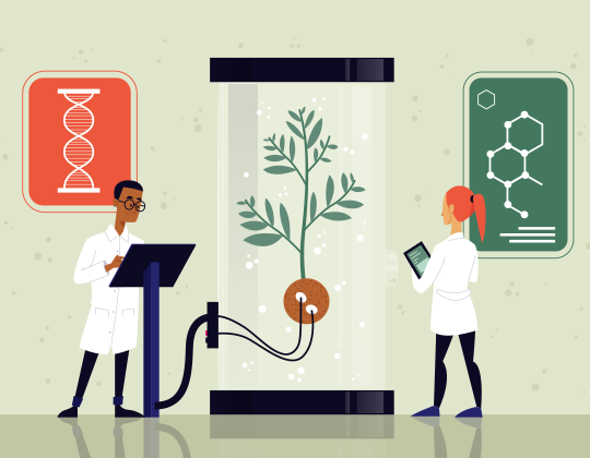 พลาสติกจากพืช คุณสมบัติใกล้เคียง PET