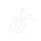 TikTok icon